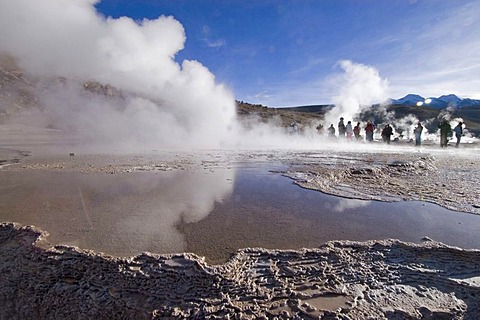 Geyser at the geyserfiel of El Tatio, Chile