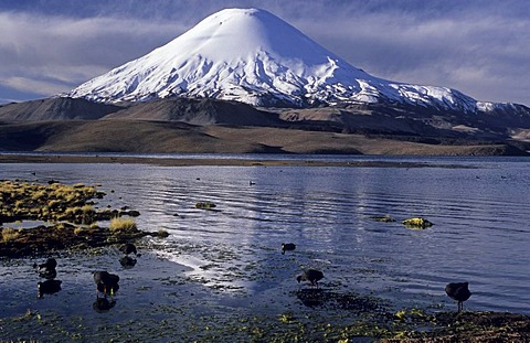 Volcanoe Parinacota (6342 m) and Lago Chungara, Lauca National Park, Chile