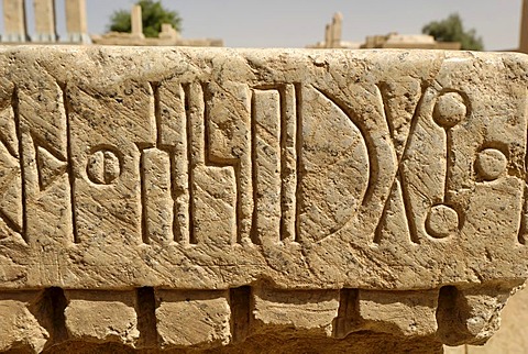 Stone with sabaeic inscription, Marib, Yemen