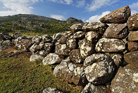 Hagghier, Haggier Mountains, Socotra island, UNESCO-World Heritage Site, Yemen