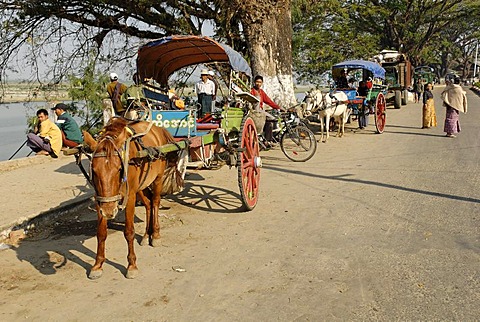 Bhamo harbour on the Irrawaddy river, Katchin State, Myanmar