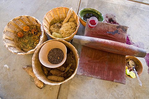 Production of natural colour, dye, Oaxaca, Mexico