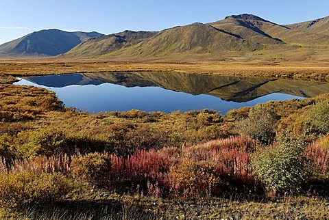 Lake in Tombstone Territorial Park, Dempster Highway, Yukon Territory, Canada