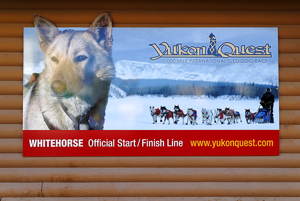 Poster of the Yukon Quest dogsledrace, Whitehorse, Yukon Territory, Canada