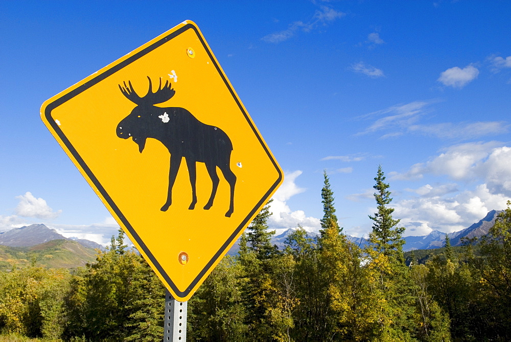 Moose warning sign, Alaska, USA