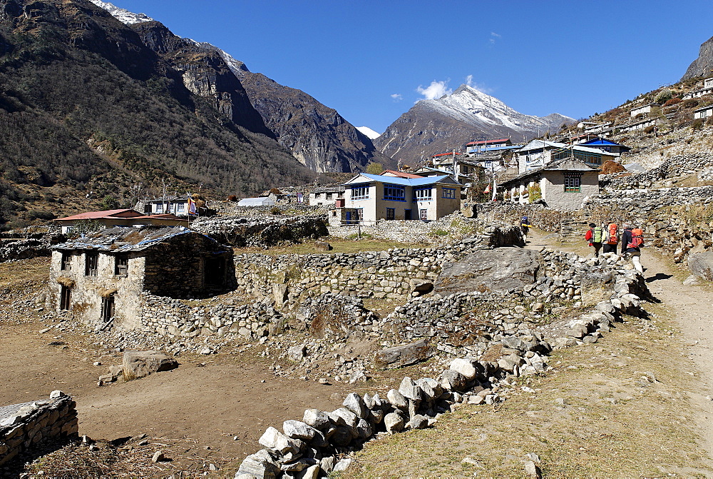 Trekking group at Thamo Sherpa village, Sagarmatha National Park, Khumbu, Nepal