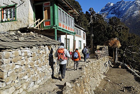 Trekking group at Sherpa village Pangboche, Sagarmatha National Park, Khumbu, Nepal