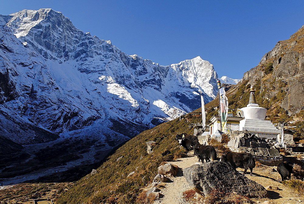 Historic stupa at Thame, Bhote Koshi valley, Khumbu Himal, Sagarmatha National Park, Nepal