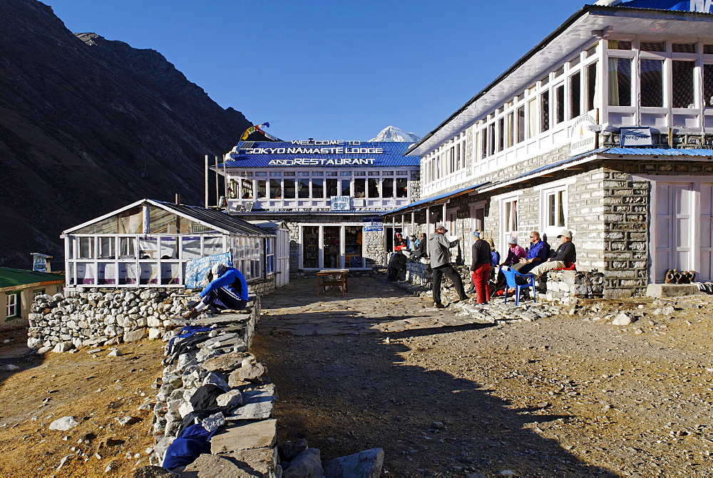 Trekking lodge at Gokyo with Cho Oyu (8201), Sagarmatha National Park, Khumbu Himal, Nepal