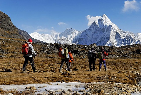 Trekking group at Chola Khola valley near Dzonglha in front of Ama Dablam (6856), Sagarmatha National Park, Khumbu Himal, Nepal