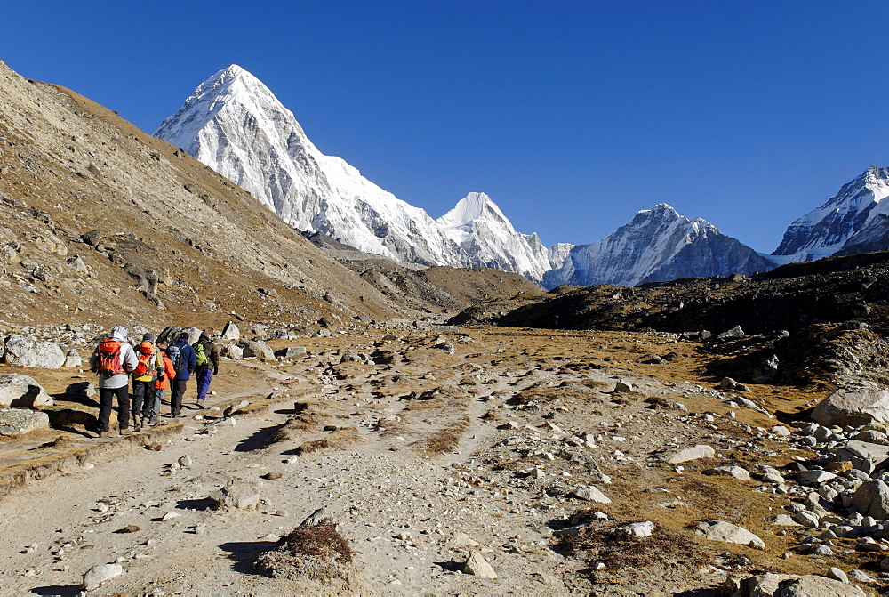 Trekking group on Khumbu glacier with Pumori (7161), Khumbu Himal, Sagarmatha National Park, Nepal