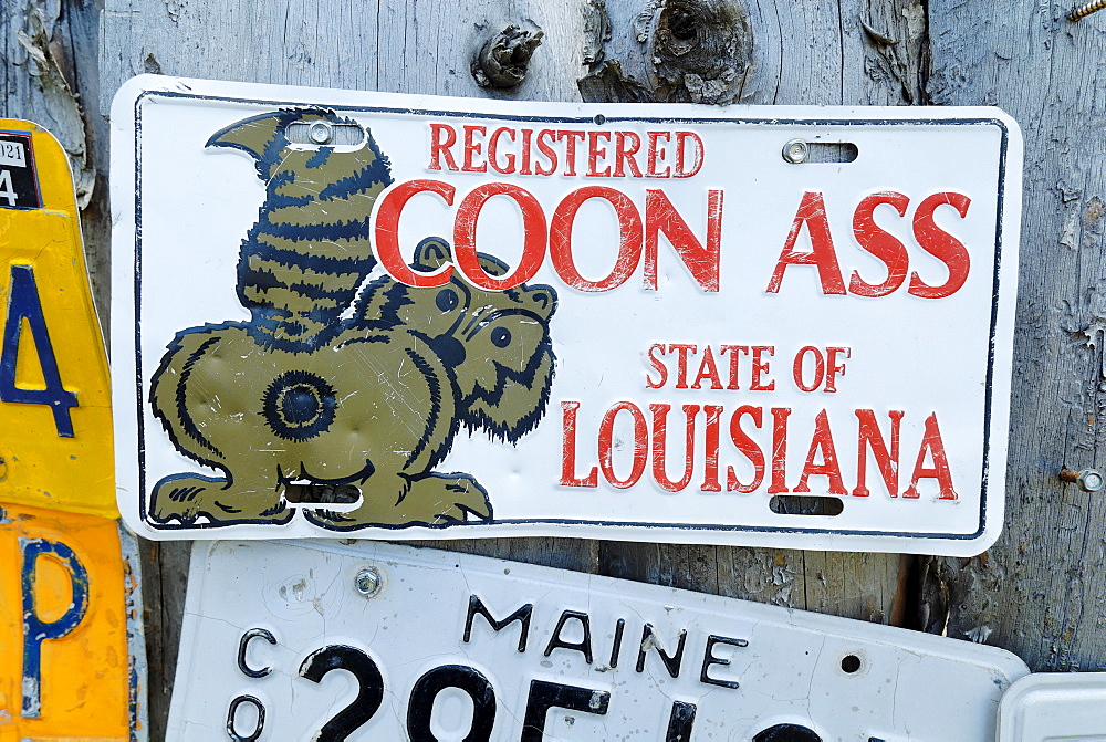 Coon Ass sign, Louisiana, USA