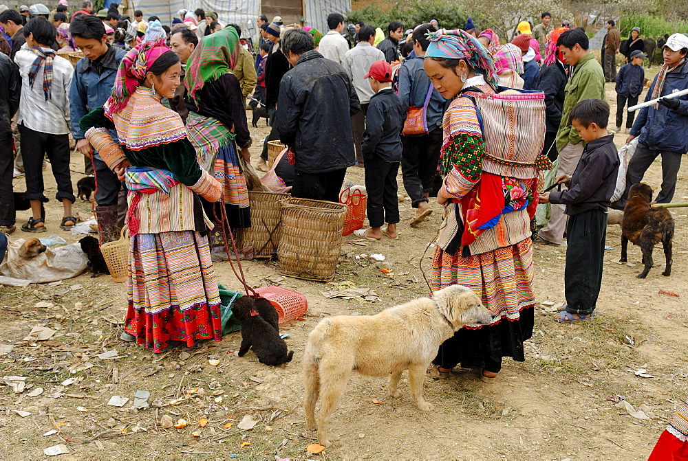 Animal market of Bac Ha, Ha Giang province, northern Vietnam