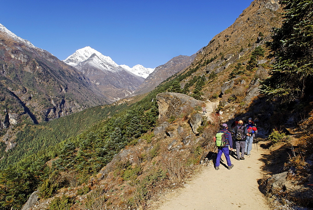 Trekking group at Bhote Koshi valley, Sagarmatha National Park, Khumbu, Nepal