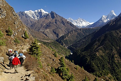 Yak caravane at Dudh Koshi valley, Sagarmatha National Park, Khumbu Himal, Nepal