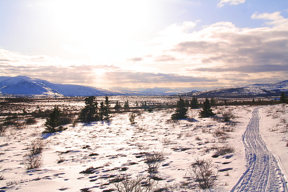 Trail in Winter landscape, tundra, plateau, sled tracks, Yukon Territory, Canada