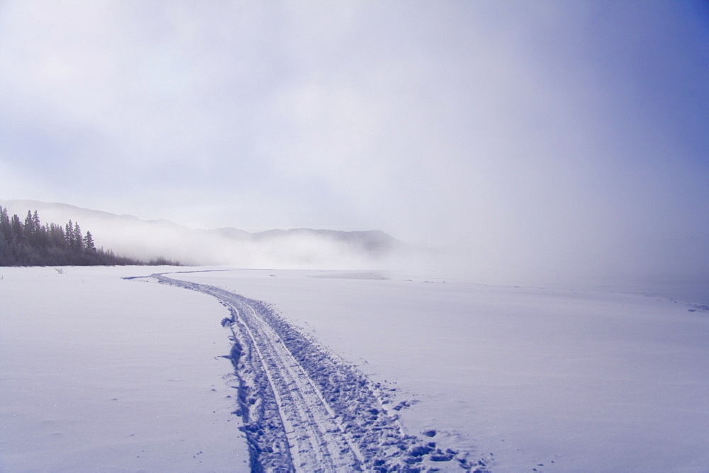 Sled tracks disappearing in the fog, frozen Lake Laberge, Yukon Territory, Canada