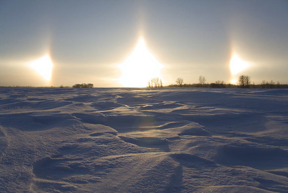 Sun dog, parhelion, parhelia, snow-covered Great Plains in winter, Manitoba, Canada