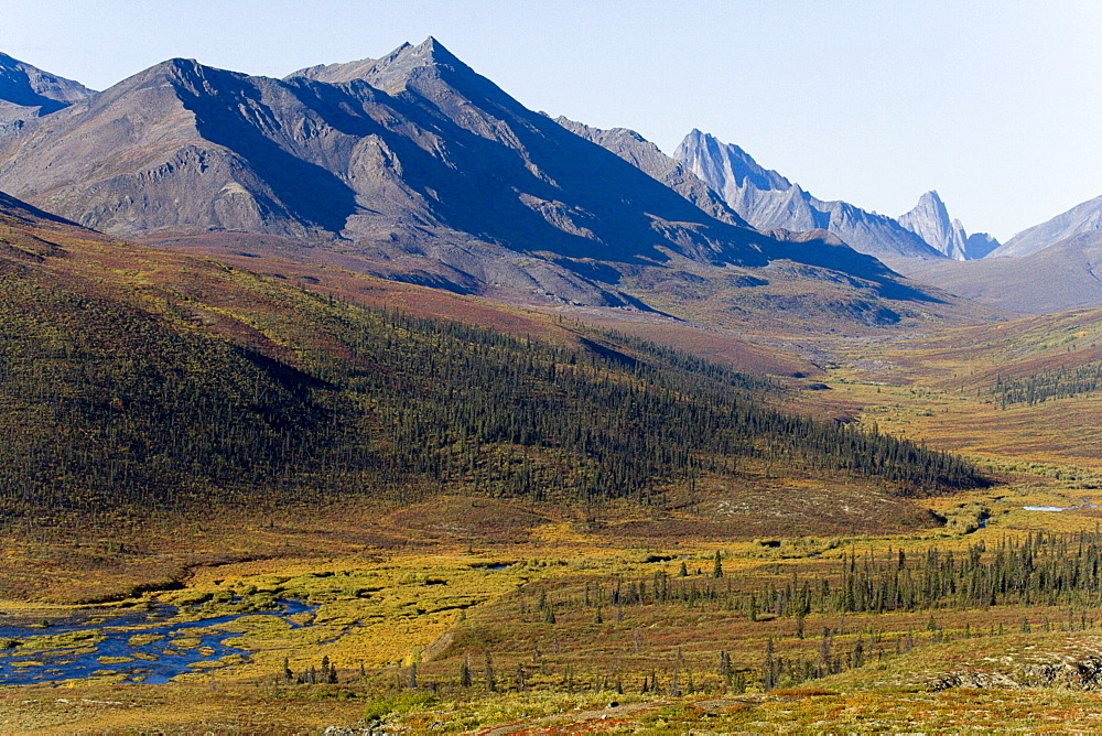 Autumn tundra, Tombstone Mountains, Yukon Territory, Canada, North America