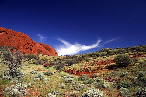 Rockformation Olgas (Kata Tjuta), Outback, Northern Territory, Australia