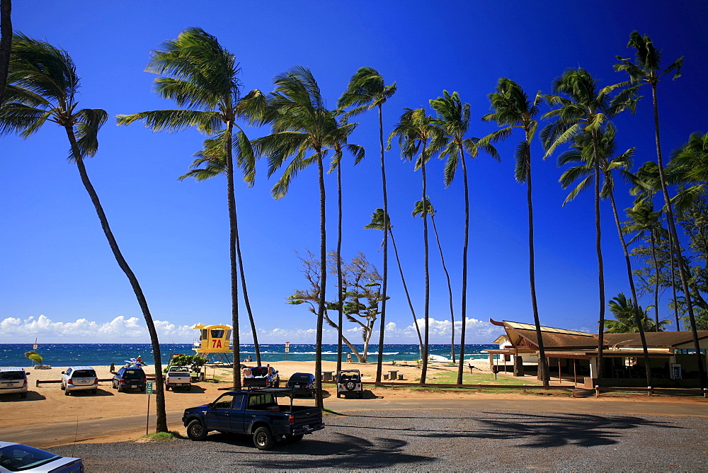 Baldwin Beach Park with palm trees, a golden sandy beach and a surf rescue tower, Paia, Maui Island, Hawaii, USA