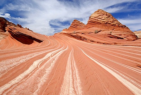 North Coyote Buttes, Paria Canyon-Vermilion Cliffs Wilderness, Arizona, USA