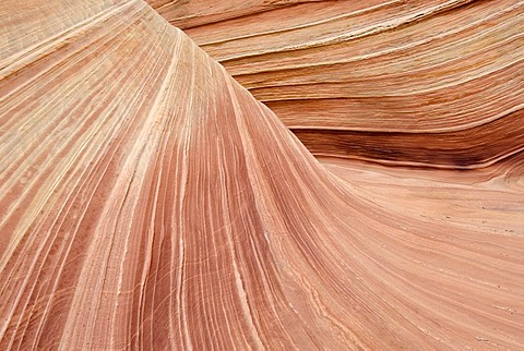 The Wave, North Coyote Buttes, Vermilion Cliffs, Paria Canyon, Arizona, USA