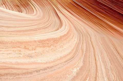 The Wave, North Coyote Buttes, Vermilion Cliffs, Paria Canyon, Arizona, USA