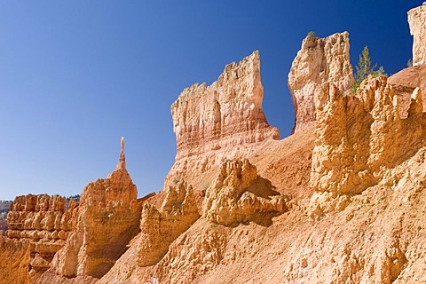 Fels formations at Navajo Trail, Bryce Canyon National Park, Utah, USA