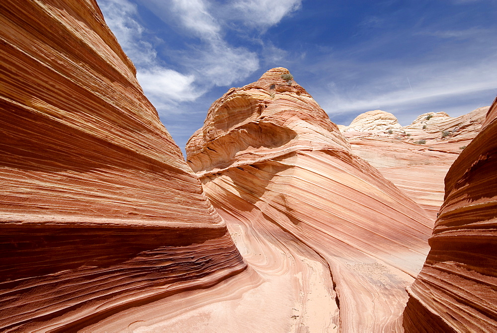 The Wave, North Coyote Buttes, Vermilion Cliffs, Paria Canyon, Arizona, USA, North America