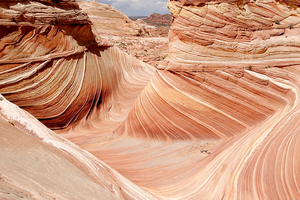 The Wave. North Coyote Buttes. Vermilion Cliffs. Paria Canyon. Arizona. USA.