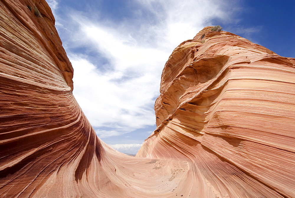 The Wave. North Coyote Buttes. Vermilion Cliffs. Paria Canyon. Arizona. USA.