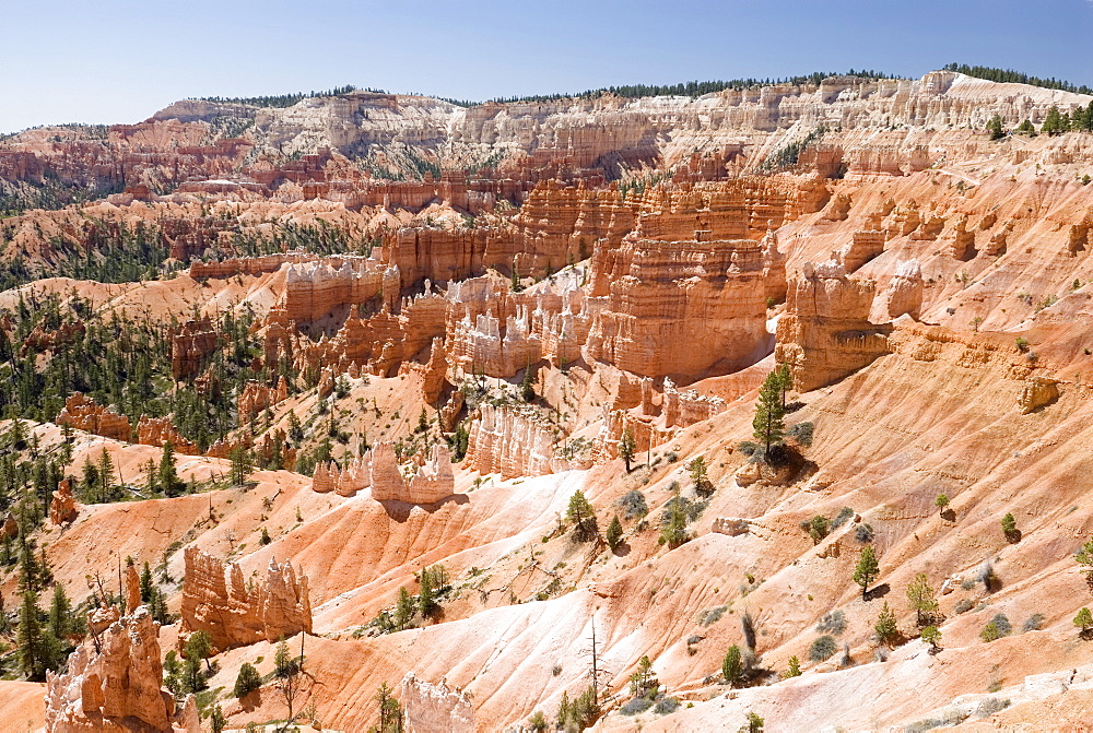 Bryce Canyon National Park, Utah, USA