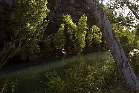 Dales Gorge Karijini National Park Pilbara region western australia WA