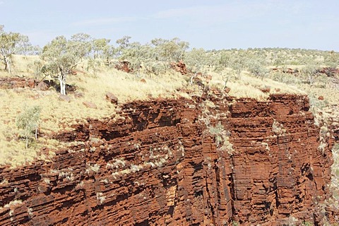 Red rocks and Spinifex grass and snappy gum trees Karijini National Park Pilbara region western australia WA