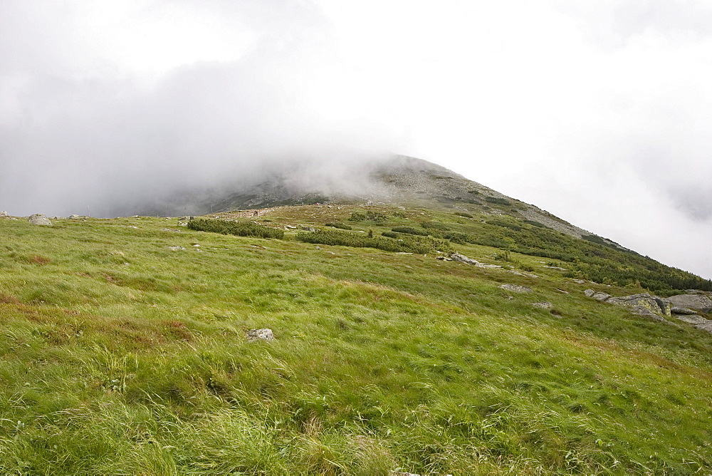 View to the overcast Snezka, 1602 m, Giant Mountains, Czechia