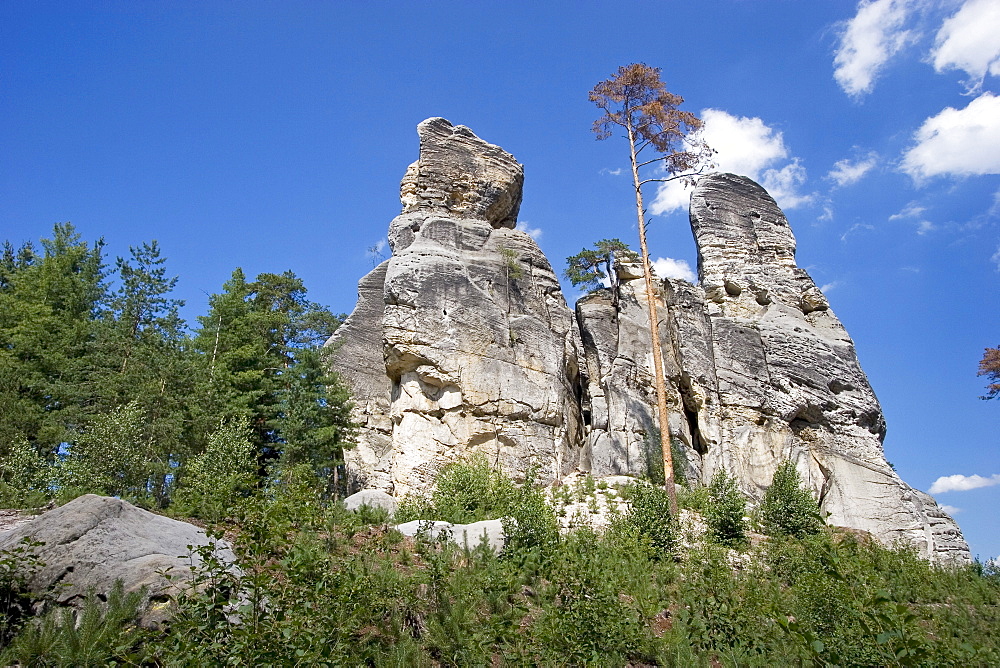 Sandstone rock Skaut, Boehmisches Paradies, Cesky Ray, Czech Republic