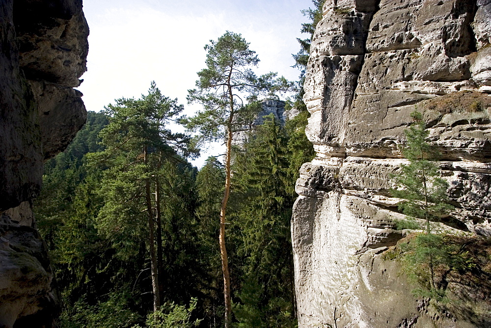 Sandstone rock, Boehmisches Paradies, Cesky Ray, Czech Republic