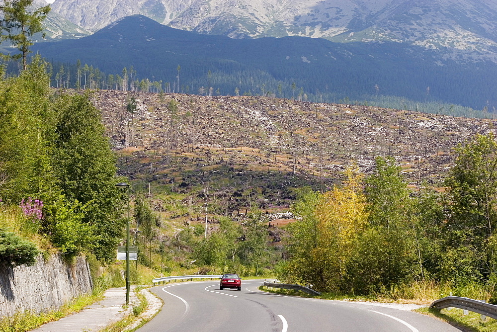 Hurricane damage on the Slovakian side of the High Tatras, almost half of the trees were destroyed by a hurricane on the 19th of November 2004, Slovakia