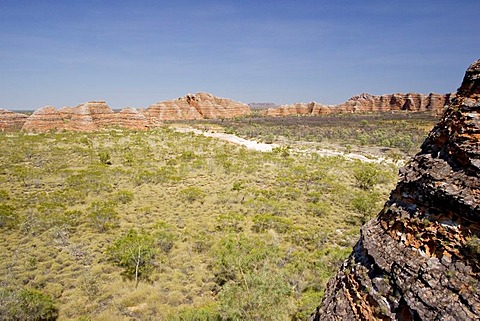 Bungle Bungle, Purnululu National Park, Unesco World Heritage Site, Kimberley, Western Australia, WA, Australia