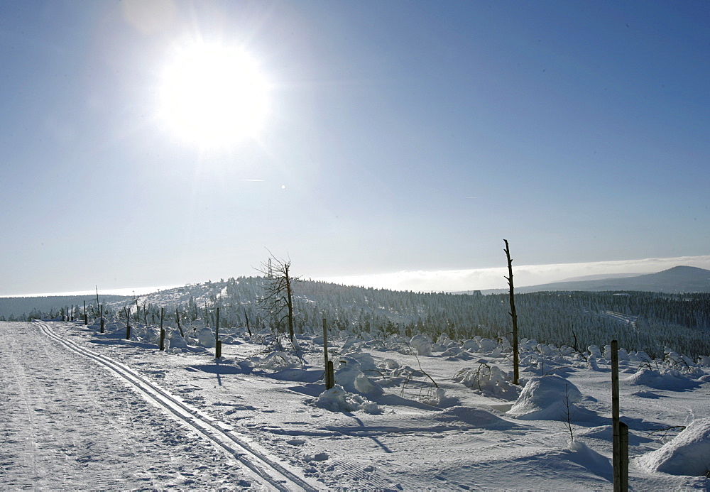 Cross country ski tracks on Mt. Fichtelberg, Oberwiesenthal, Erzgebirge, Ore Mountains, Saxony, Germany