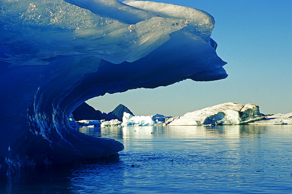 Iceberg, Kenai Fjords National Park, Alaska, USA