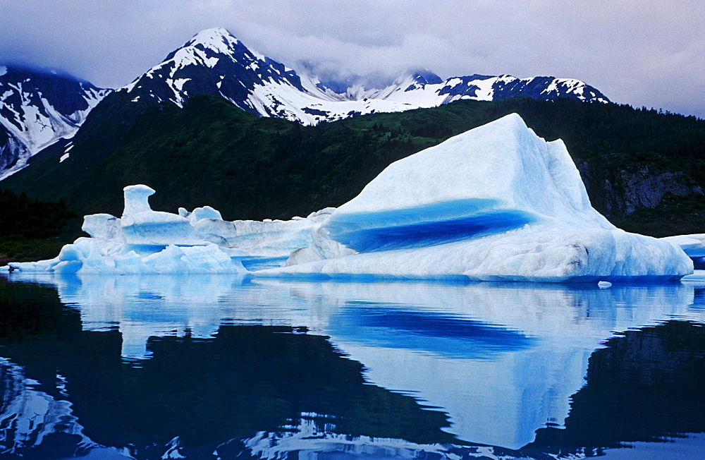 Arctic mood, Kenai Fjords National Park, Alaska, USA