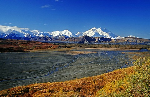 Riverbed and autumn tundra with Mt. McKinley at the back, Denali National Park, Alaska, USA