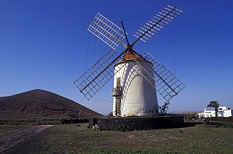 Windmill near Tiagua, Lanzarote, Canary Islands, Spain, Europe