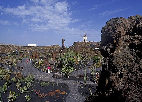 Jardin de Cactus near Guatiza ( founded by Cesar Manrique ) Lanzarote, Canary Islands, Spain, Europe