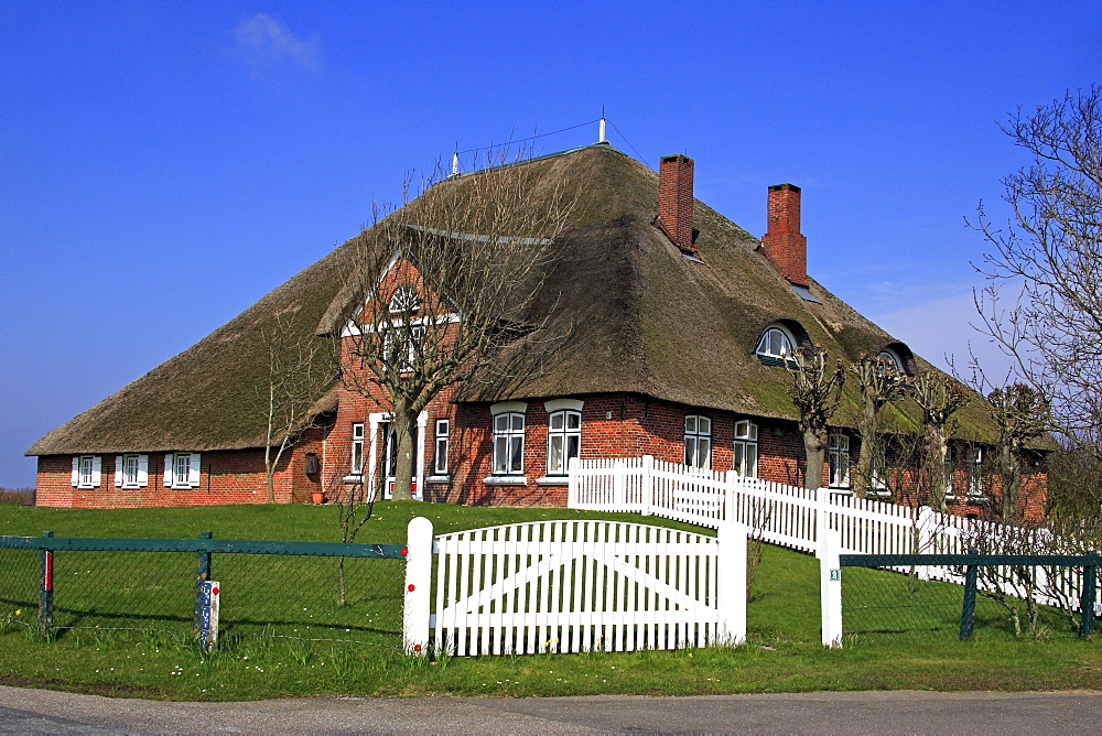 Haubarg Kutzenswarft, historic cottage with thatched roof in Westerhever, Eiderstedt Peninsula, North Frisia, North Sea coast, Schleswig-Holstein, Germany, Europe