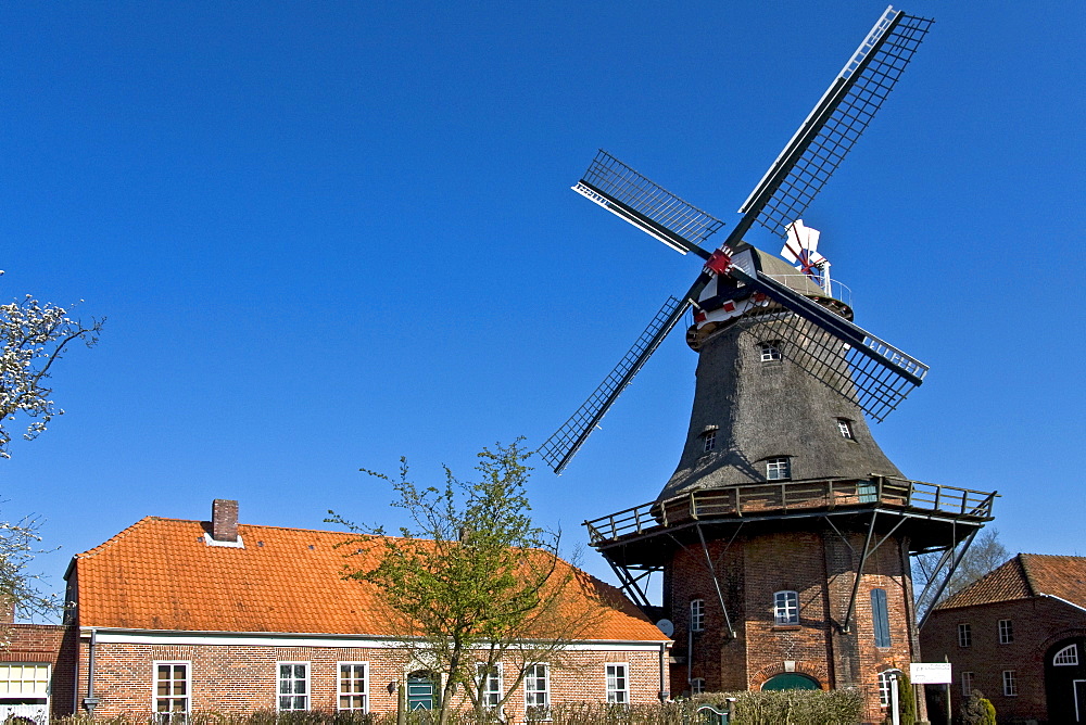 Historic Dutch windmill with wind rose, Jever, East Friesland, Lower Saxony, Germany, Europe