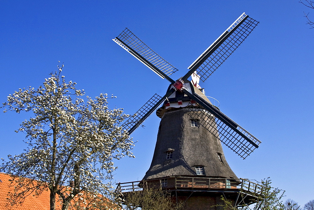 Historical Dutch Schlachtmuehle windmill with wind rose, Jever, East Friesland, Lower Saxony, Germany, Europe