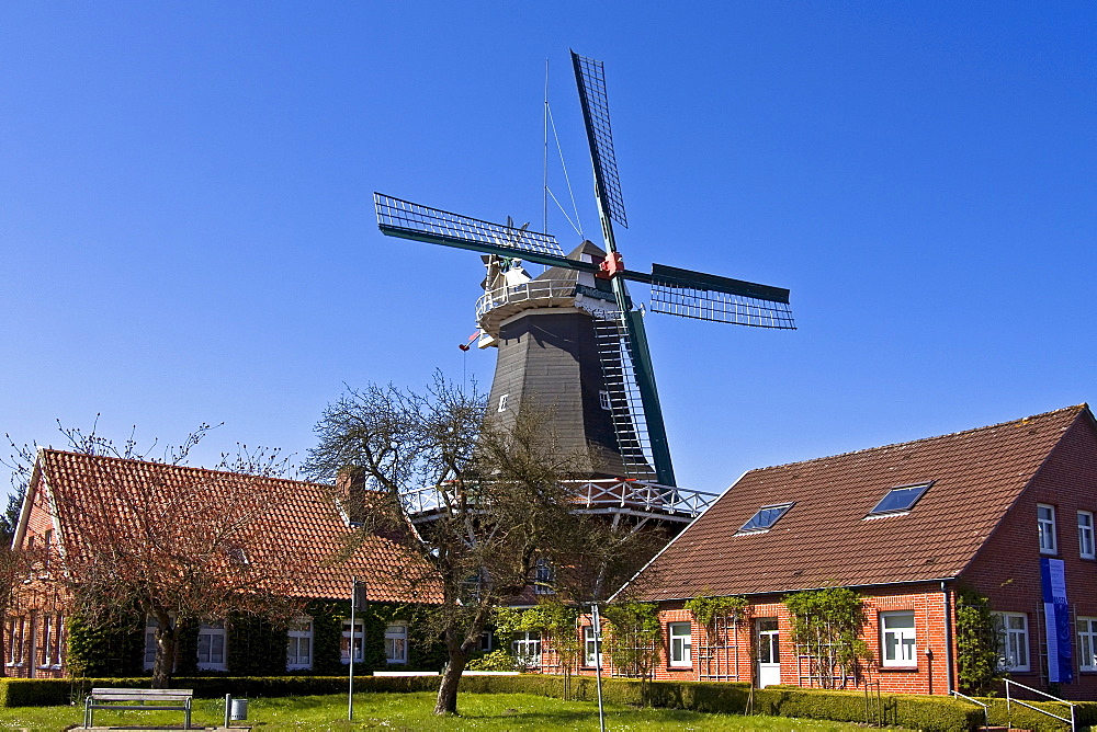 Historical windmill build in typical Dutch style showing the fantail at the back, husking mill, Esens, East Frisia, Lower Saxony, Germany, Europe